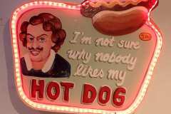 1_hotdog-not-sure